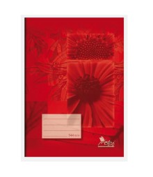 SE�IT �KOLN� NOTES BEZD�EV� 484